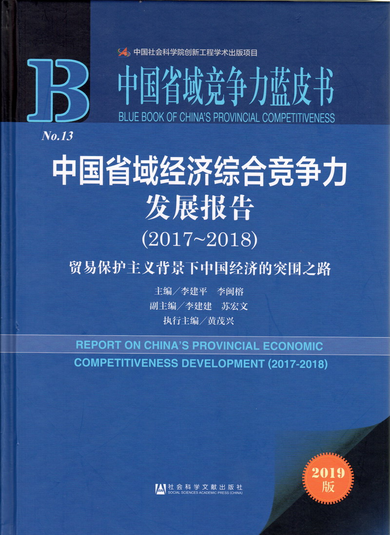 大B操大奶在线观看中国省域经济综合竞争力发展报告（2017-2018）