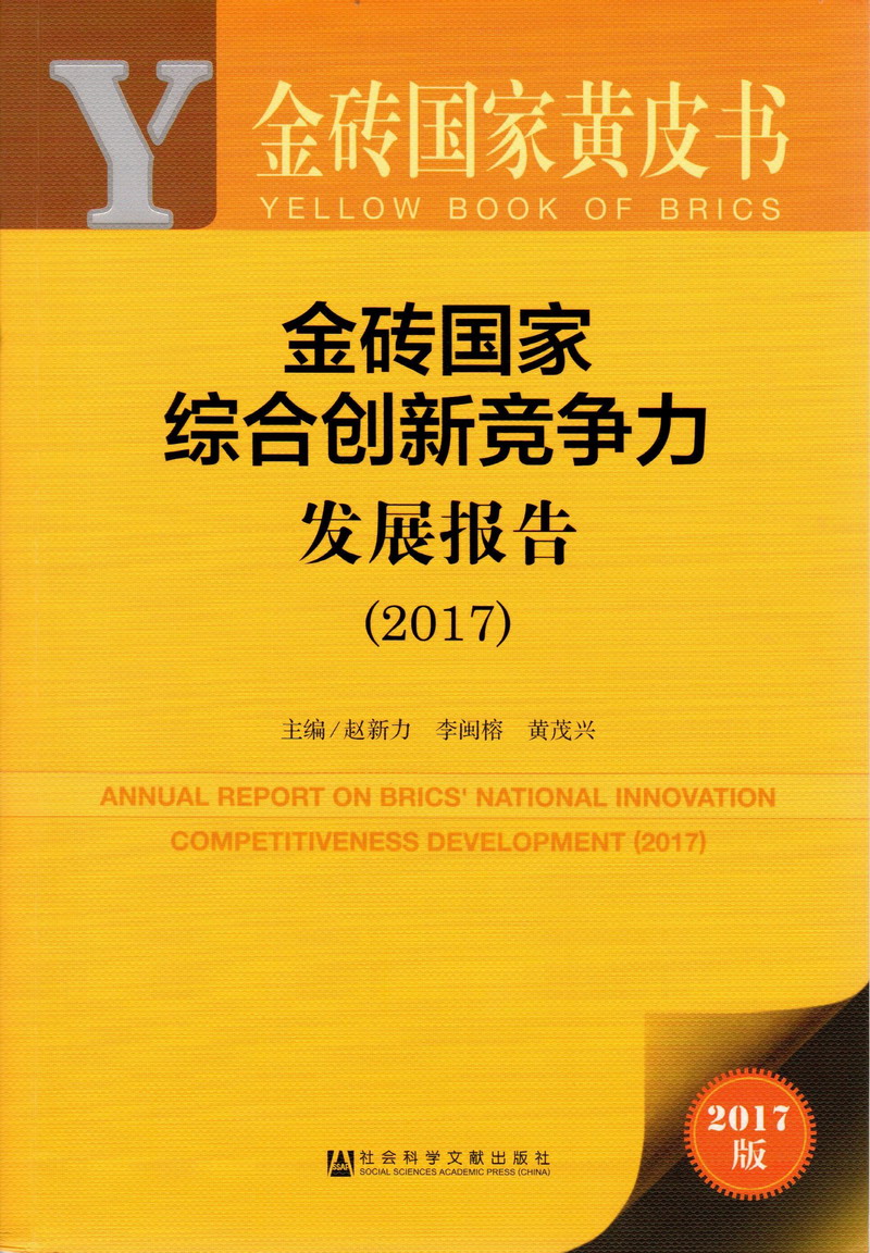 狠狠艹我吧黄色视频金砖国家综合创新竞争力发展报告（2017）